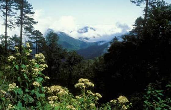 Oaxaca – Mexico