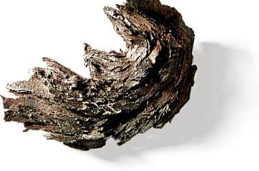 Resveratrol